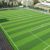 Project Grass