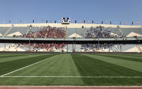 چمن مصنوعی